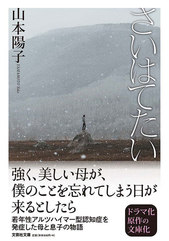 【文庫】さいはてたい