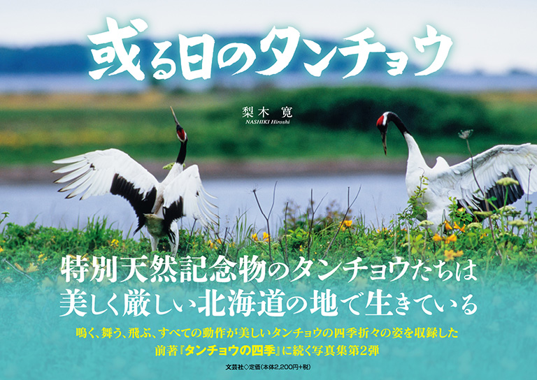 【中古】 縄文心で生きる/文芸社/吉良朴 Living National Treasure (Woodcraft) Ryozo Kawagita - YouTube