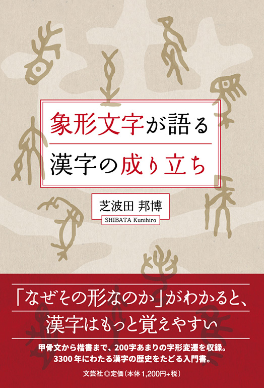 �ی`��������銿���̐��藧��