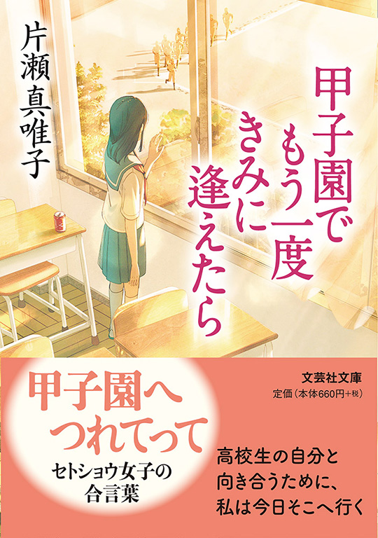 【文庫】甲子園でもう一度きみに逢えたら