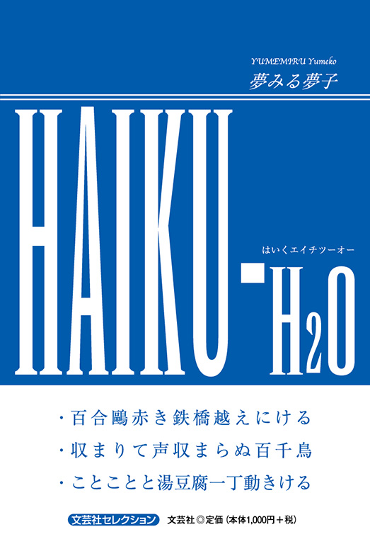 HAIKU-H2O