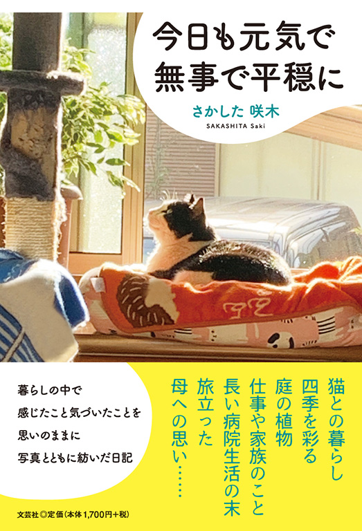 ���������C�Ŗ����ŕ�����