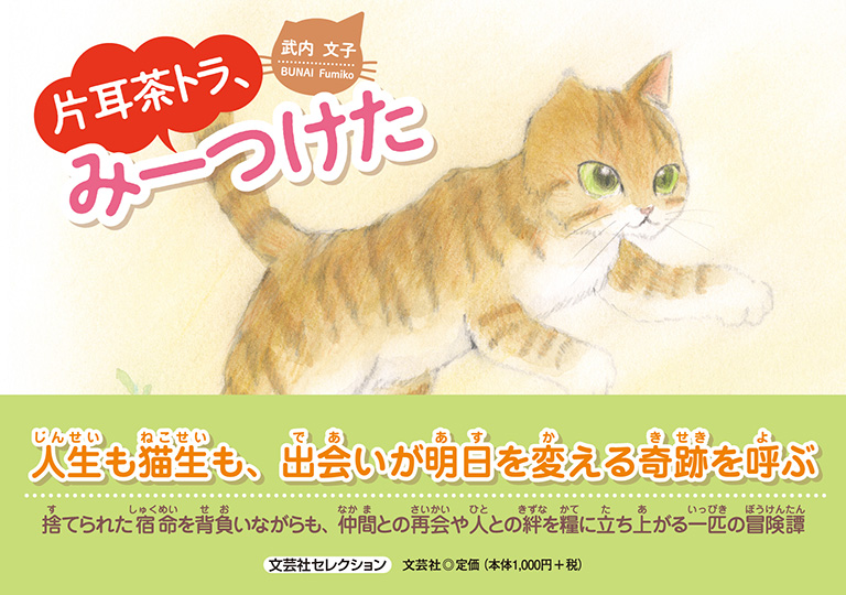 �Ў����g���A�݁[����