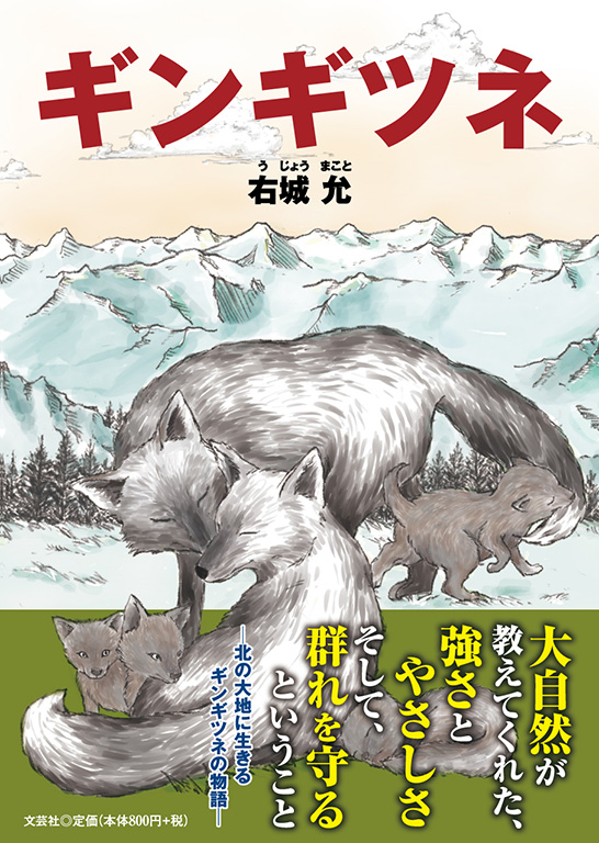 �M���M�c�l