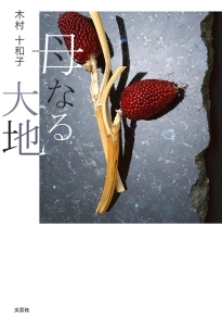 書籍詳細 母なる大地 書籍案内 文芸社 書籍詳細 母なる大地 書籍案内 文芸社