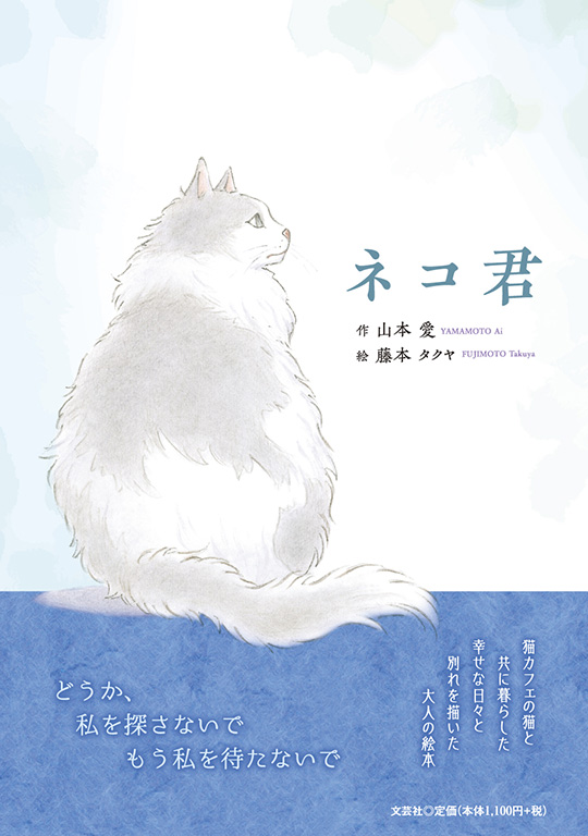 素敵な恋のお話等　 絵本　ネコ雑誌等　全8冊 書籍詳細：ネコ君 | 書籍案内 | 文芸社