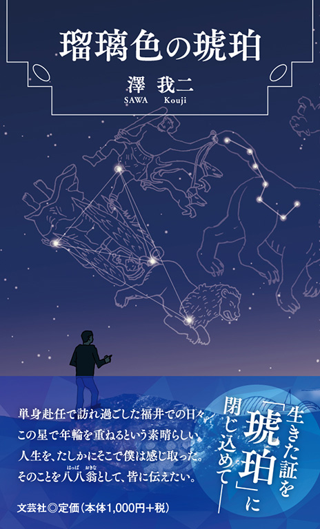 書籍詳細：瑠璃色の琥珀 | 書籍案内 | 文芸社