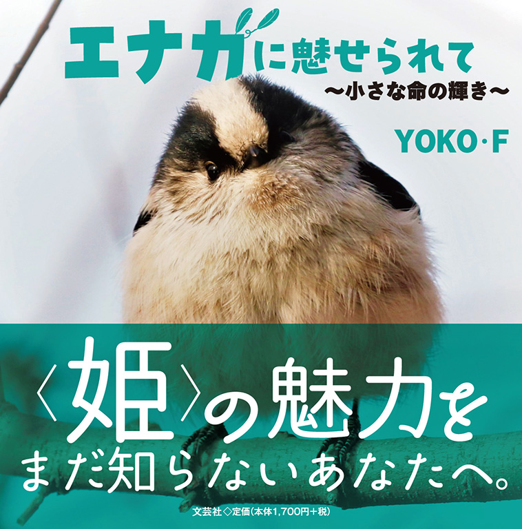 書籍詳細：エナガに魅せられて | 書籍案内 | 文芸社
