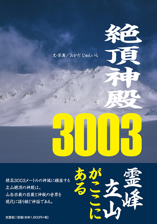 Ⓒ_a3003