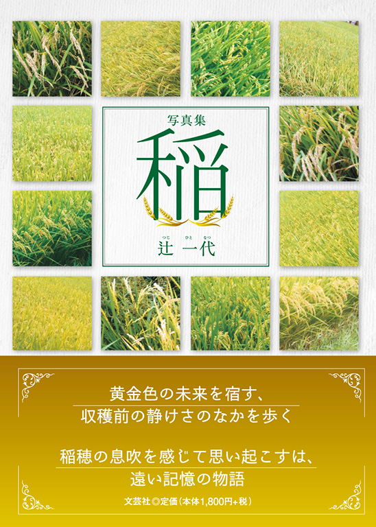 書籍詳細：写真集 稲 | 書籍案内 | 文芸社
