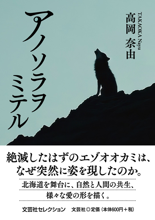書籍詳細：アノソラヲミテル | 書籍案内 | 文芸社