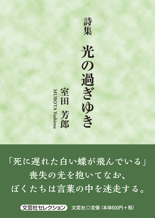 書籍詳細：詩集 光の過ぎゆき | 書籍案内 | 文芸社