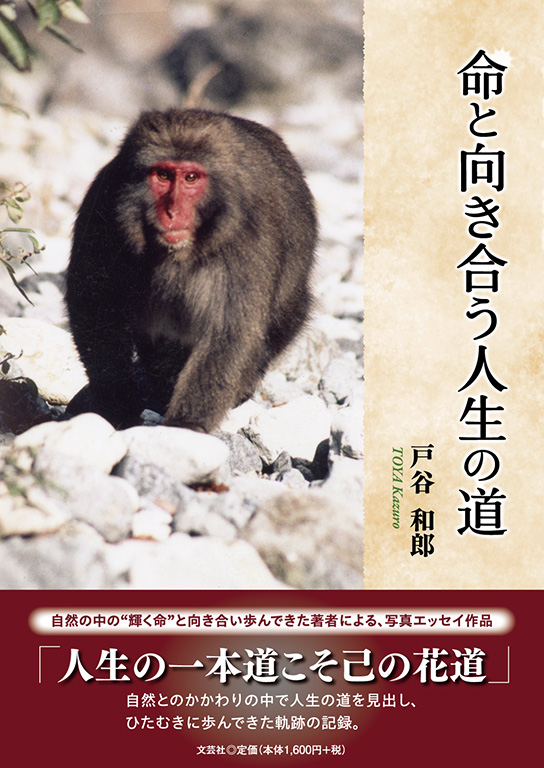 ���ƌ��������l���̓�